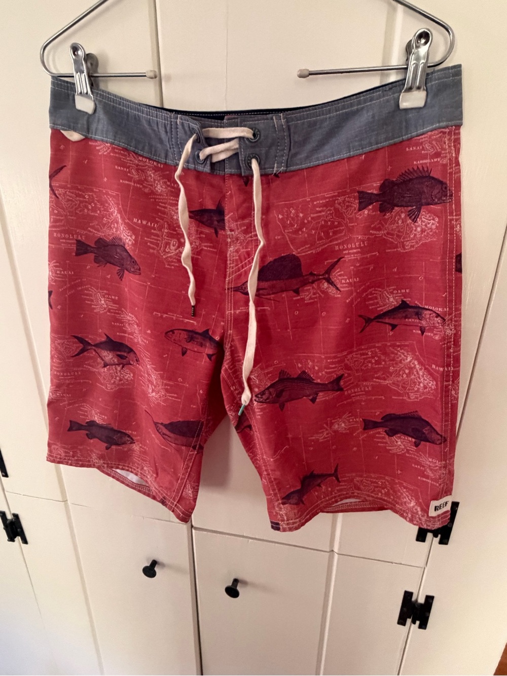 Reef Men's Red Swim Board Shorts with Navy Fish Print and Gray Waistband